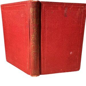 Charles Dickens Little Folks Two Daughters From The Martin Chuzzlewit Illus 1866